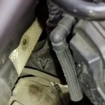 Family Freaked Out by Weird Sound from Car Engine, Only to Discover Tiny Cries