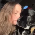 A Sweet Dog Who Adores Christmas Receives the Most Wonderful Surprise