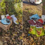 A Curious Homeowner Discovers a Mysterious Box by the Roadside and Is Stunned by What’s Inside!