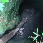 Guy Freaked Out by Weird Sounds in Cave, Turns Out It Was Just Someone Unexpected