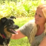 After Three Long Years, A Beloved Family Dog Joyfully Returns Home