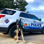 Florida Police Celebrate Retiring K9 with a Sweet Whipped Cream Surprise