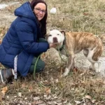 Big-Hearted Hero from Illinois Saves a Dog Just Before the Storm Hits