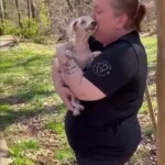 Blind, Aging Dog Overwhelmed with Joy as He Senses His Family Again After Years Lost