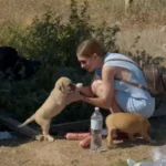 Rescuers Answered an Urgent Call to Save Two Puppies Stranded in an Industrial Zone