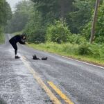 They Stopped for a Furry Bundle in the Road, Uncovering a Heartwarming Surprise