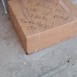 Shelter Workers Stunned by Cardboard Box Full of Tiny Wonders Left at Their Door