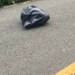 Woman Finds Shifting Bag on Road, Stunned by Unexpected Discovery