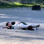 Young Kid Forms Instant Bond with Stray Basset Hound at Park