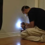 Homeowner Stunned to Uncover the Source of Strange Noises Inside the Wall