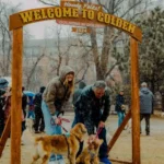 Thousands of Golden Retrievers Gather in Snowy Golden, Colorado for Annual Meetup