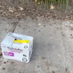 Woman Driving Was Stunned to Find a Mysterious Box on the Sidewalk