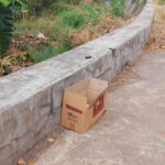 Bikers Found a Box on the Trail and Chose to Check It Out