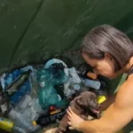 Starving Dog Found Abandoned in a Trash Bin by Shocked Rescuers