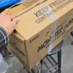 Shelter Workers Stunned by Surprise Discovery in Box Left by Door