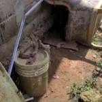 Little Dog Endured Years Alone, Chained Beneath a Shattered Couch