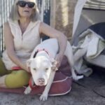 Lost Pup Blossoms Wonderfully with Her Loving New Mom