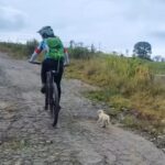 Biker Saw a Puppy Chasing Her and Chose to Help Out