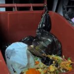 Homeowner Throws Out Trash and Discovers an Unbelievable Surprise in the Bin