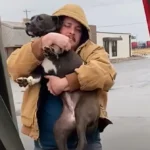 A Guy Embraces a Heartbroken Pittie Left in a Parking Lot and Brings Her Home