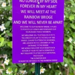 Rainbow Bridge Comes to Life: A Sacred Spot for a Dog to Honor Fallen Furry Friends