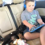 Dog Caught on Tape Doing the Kindest Act for His Young Human Brother