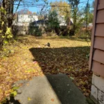 Man Working Near Empty House Sees a Stranger Watching Him