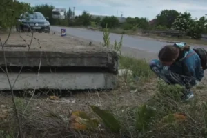 Woman Surprised to Discover Family of Furry Creatures Under Concrete, Seeks Help